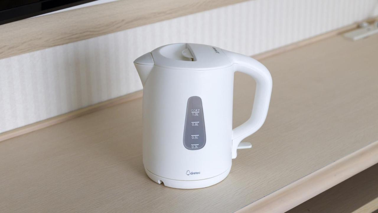Toyoko Inn Chigasaki Shiyakusho Экстерьер фото